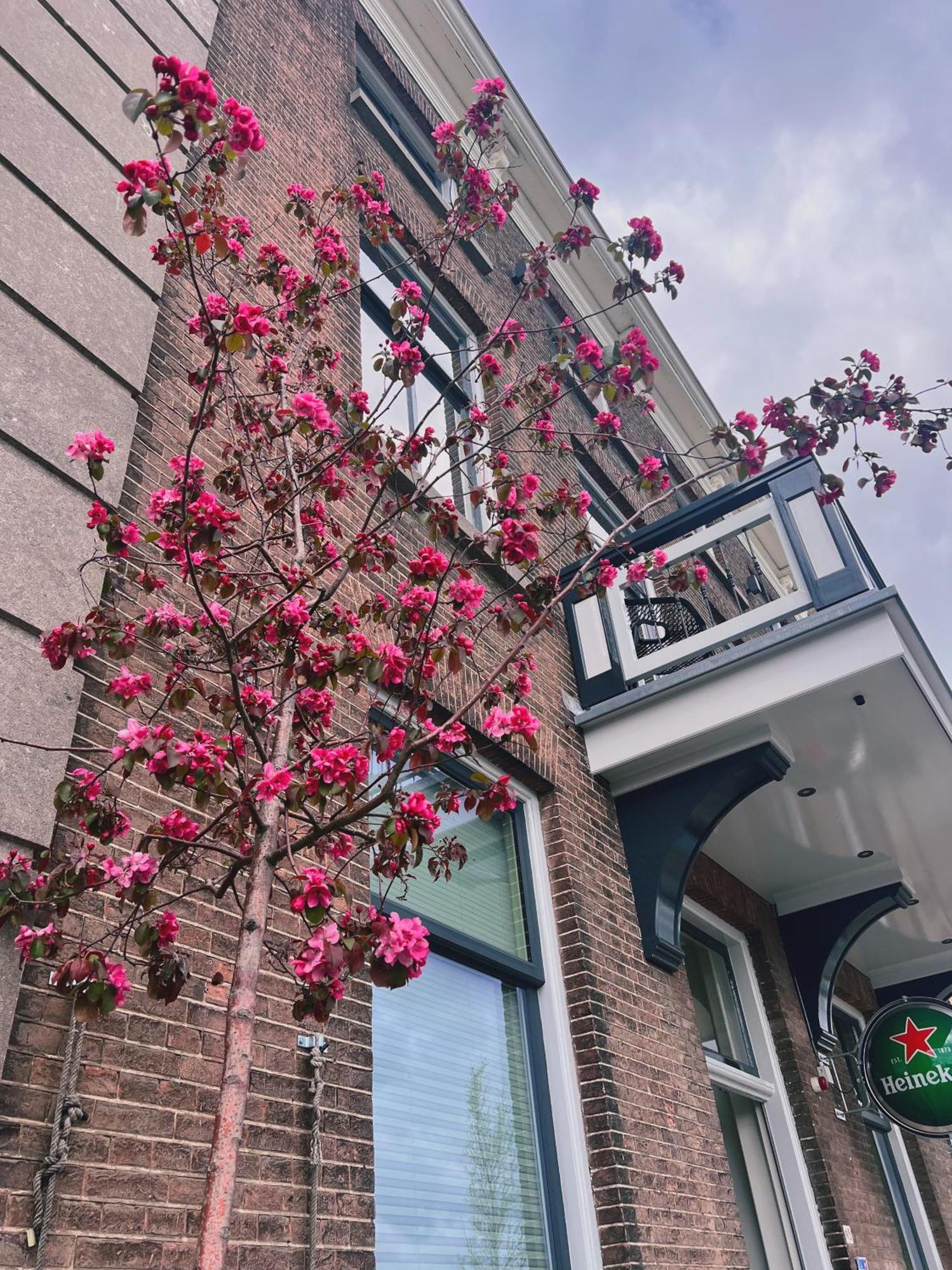 Hotel Loskade 45 Middelburg Eksteriør bilde